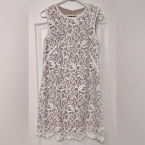NWT Loft Lace Dress